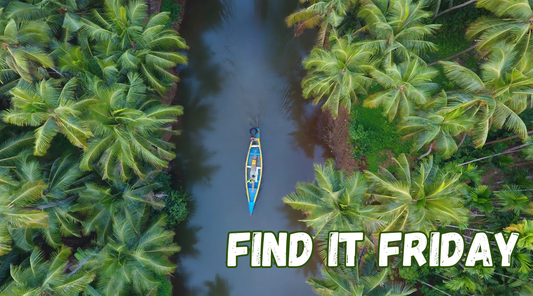 Find it Friday Canva Slides