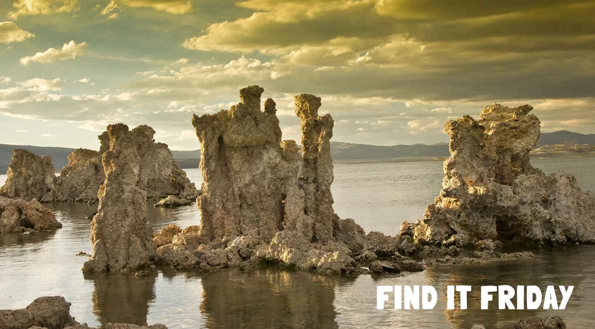 Find it Friday Canva Slides