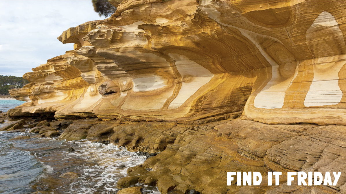 Find it Friday Canva Slides